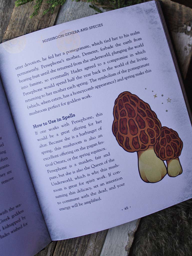 Mushroom Magick - Ritual, Celebration and Lore