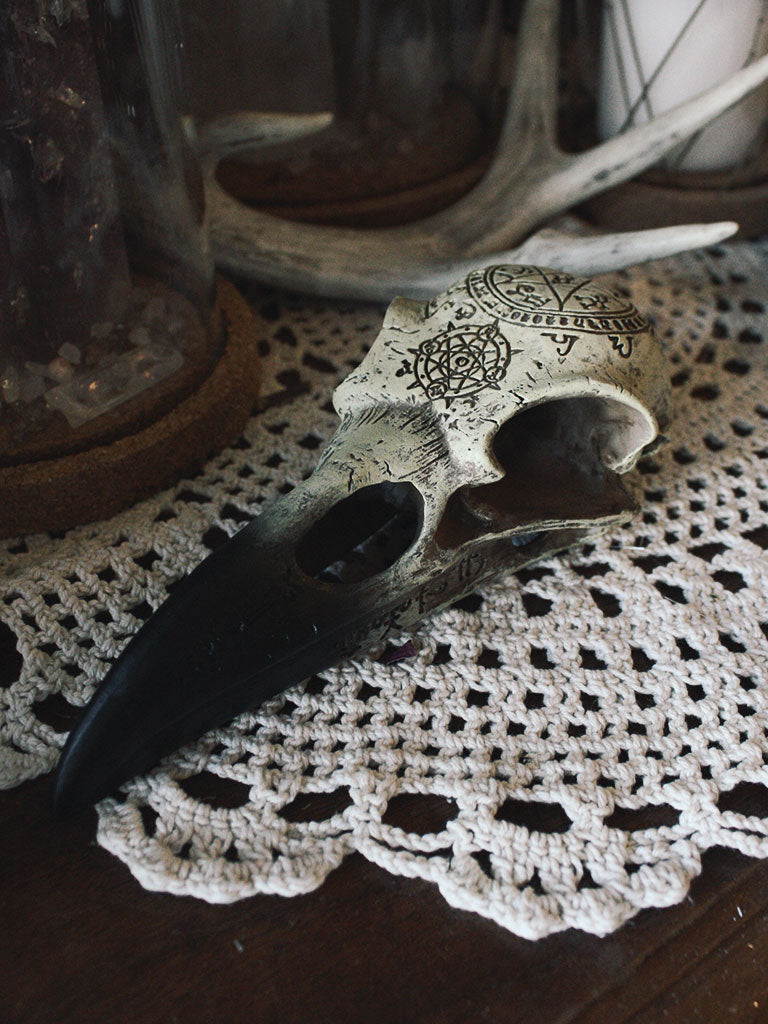 Occult Raven Skull