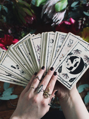 Ophidia Rose Tarot Deck by Leila + Olive