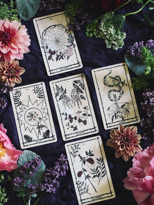 Ophidia Rose Tarot Deck by Leila + Olive