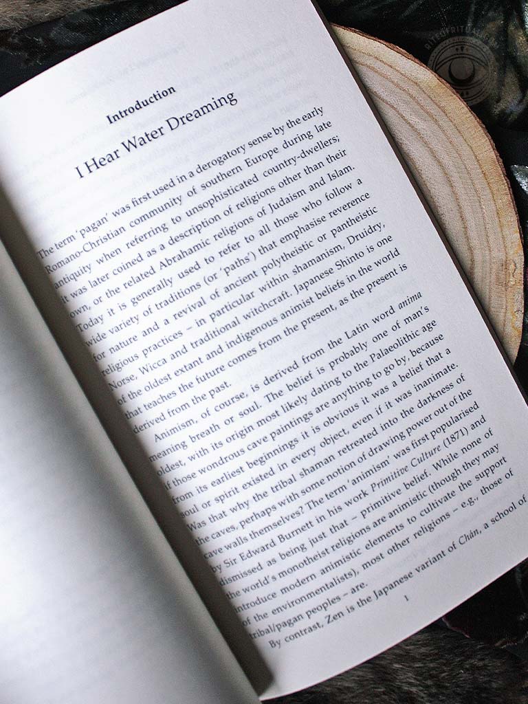 Pagan Portals - Western Animism