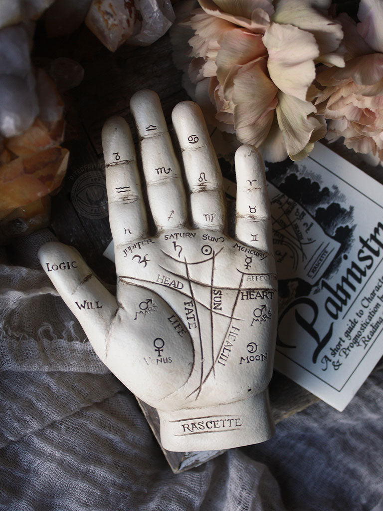 Palmistry Hand with Guidebook