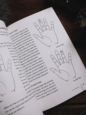 Palmistry Plain and Simple