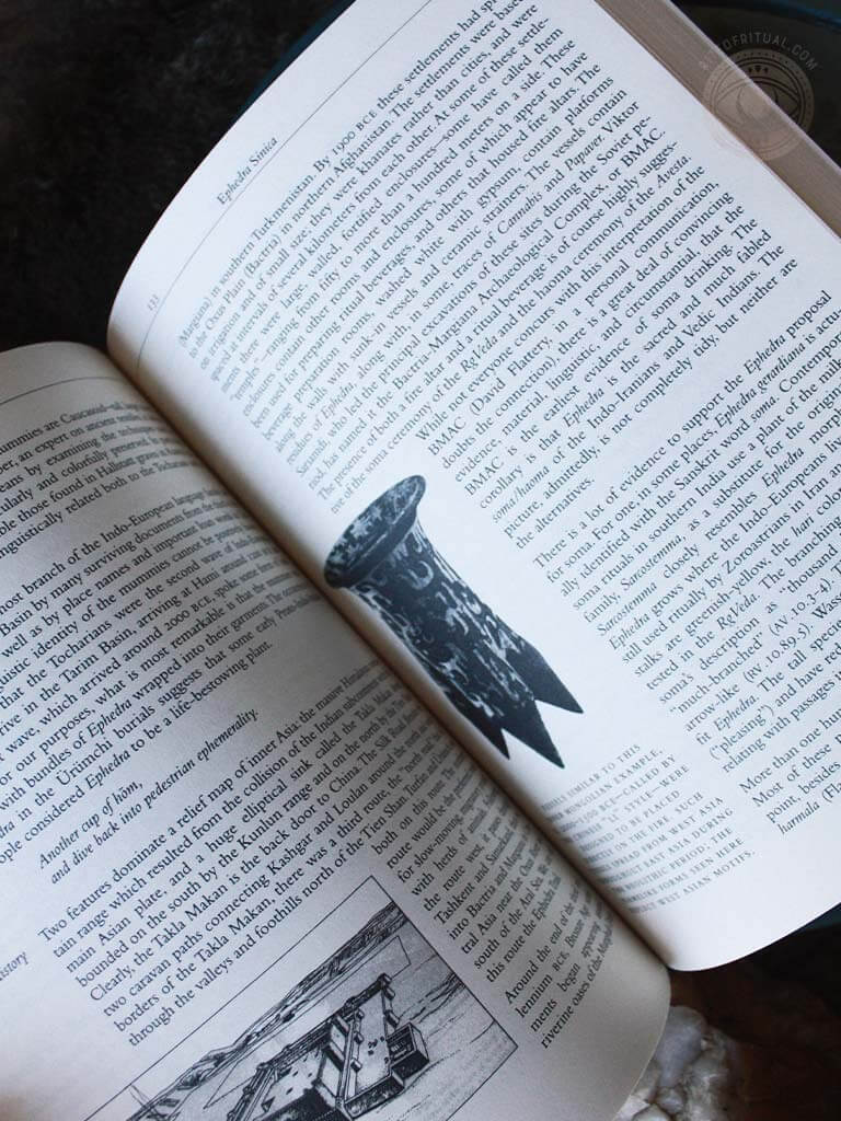 Pharmako Dynamis - Stimulating Plants, Potions, and Herbcraft