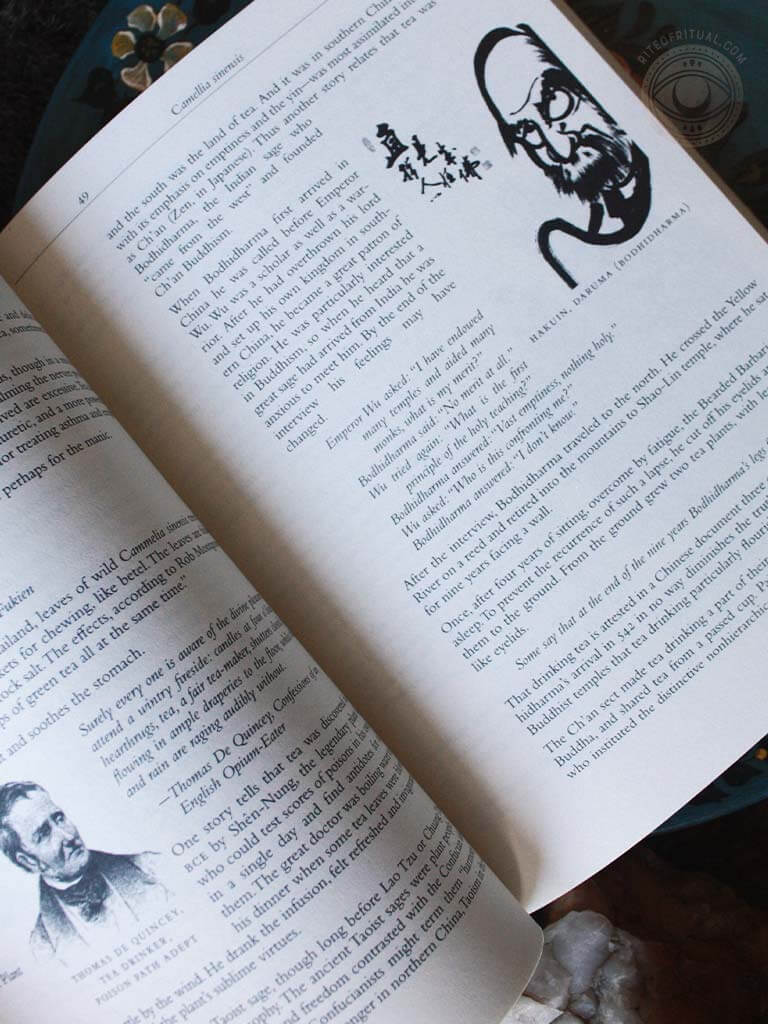 Pharmako Dynamis - Stimulating Plants, Potions, and Herbcraft