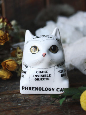 Phrenology Cat