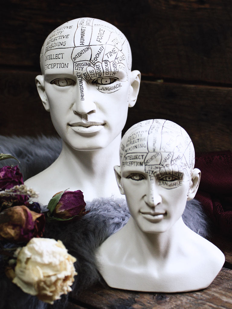 Phrenology Statues