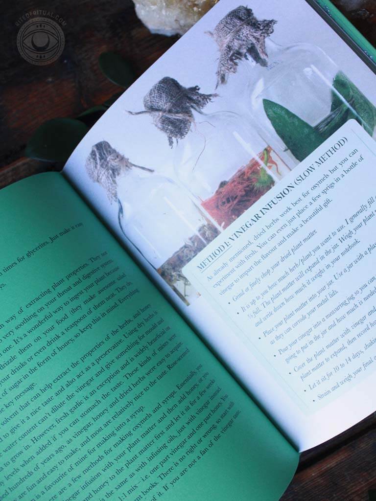 Plant Spirit Medicine - A Guide to Making Healing Products from Nature