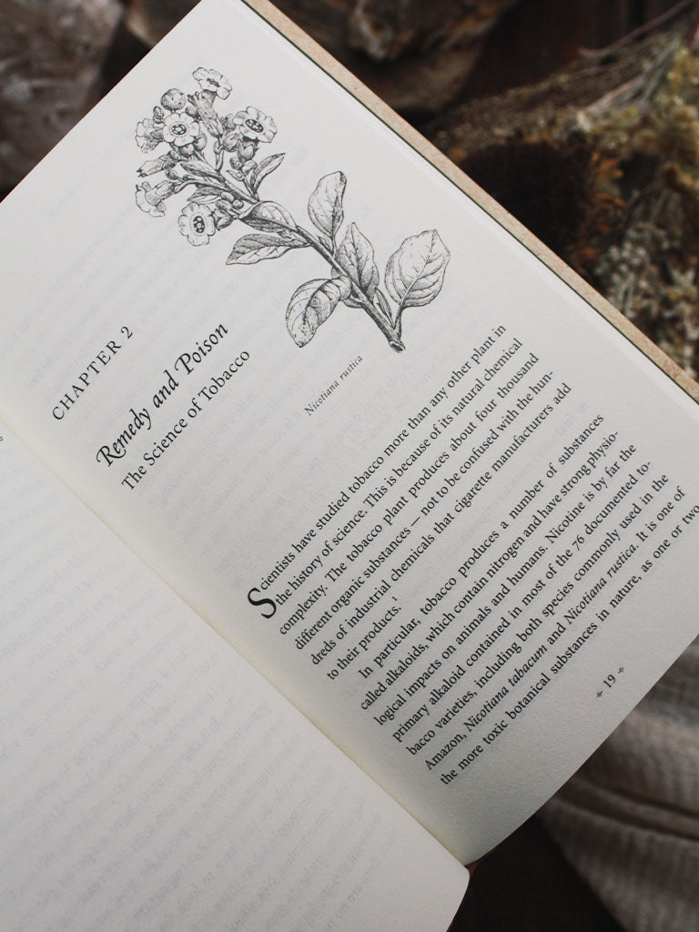 Plant Teachers - Ayahuasca, Tobacco, and the Pursuit of Knowledge