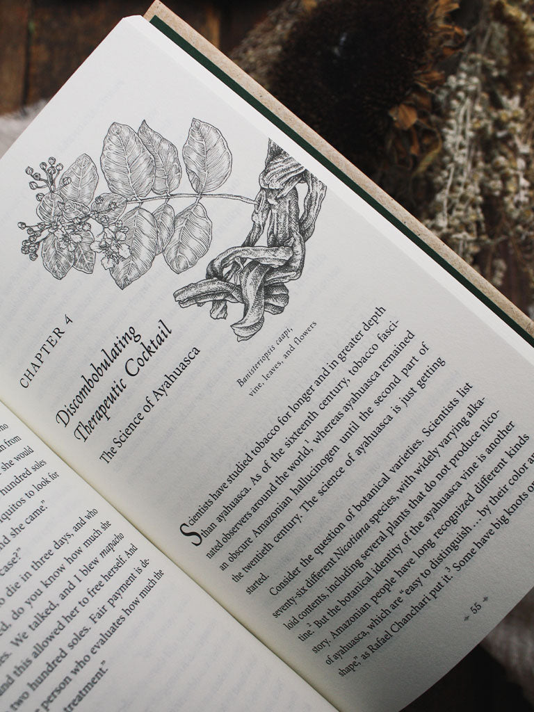 Plant Teachers - Ayahuasca, Tobacco, and the Pursuit of Knowledge