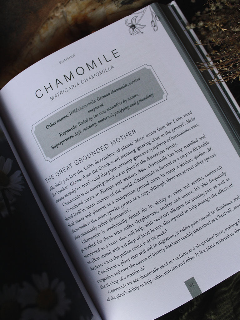 Plants of Power - Cultivate Your Garden Apothecary