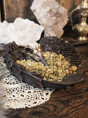 Raven Skull Ritual Dish