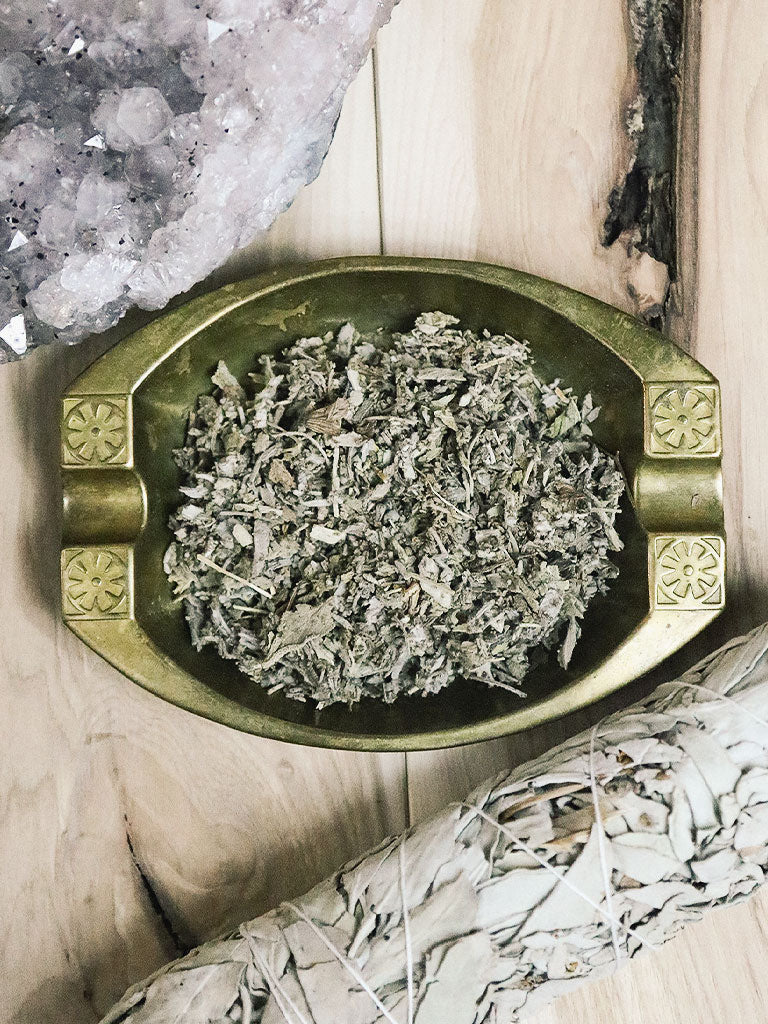 Ritual Herbs - Cut Sage