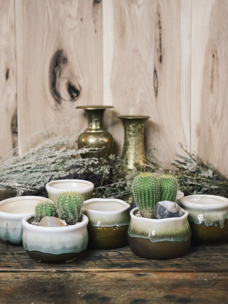 Gorgeous Glazed Succulent Planters