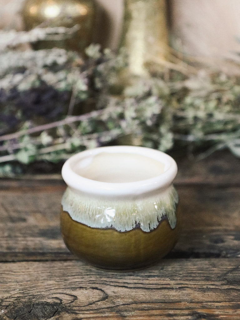 Gorgeous Glazed Succulent Planters 3