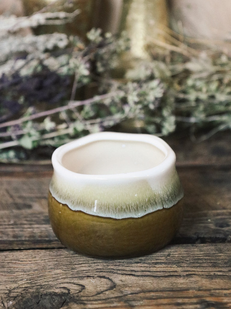 Gorgeous Glazed Succulent Planters 4