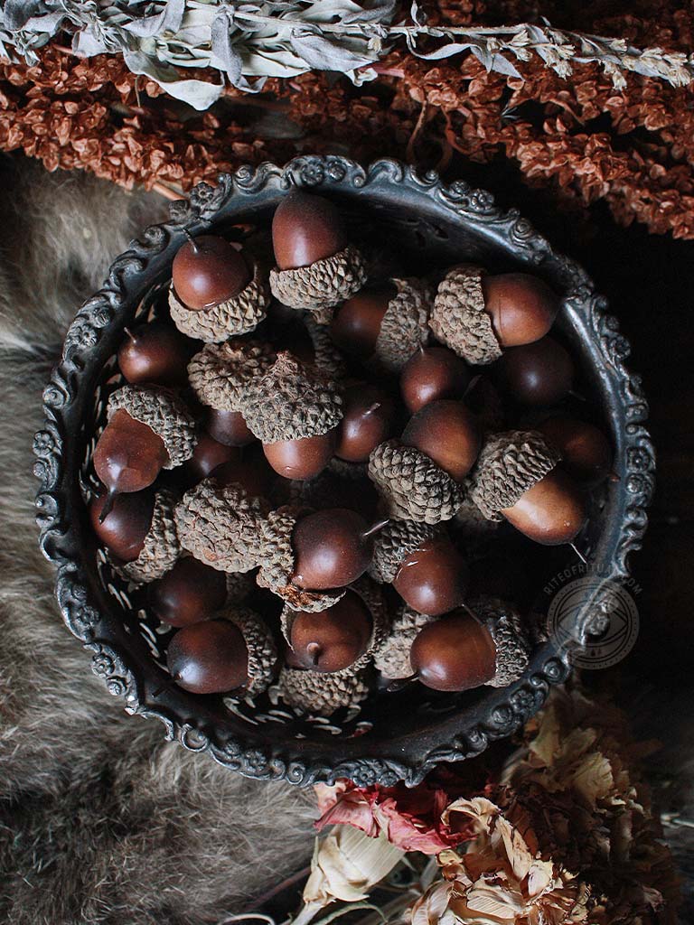 Ritual Herbs - Decorative Acorns