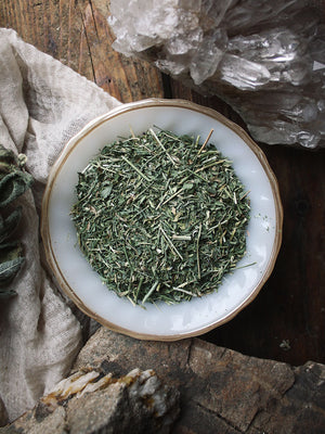Ritual Herbs - Alfalfa Leaf