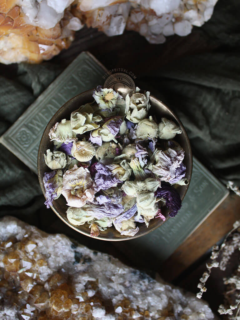 Ritual Herbs - Althea Flower