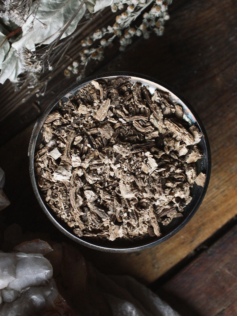 Ritual Herbs - Angelica Root