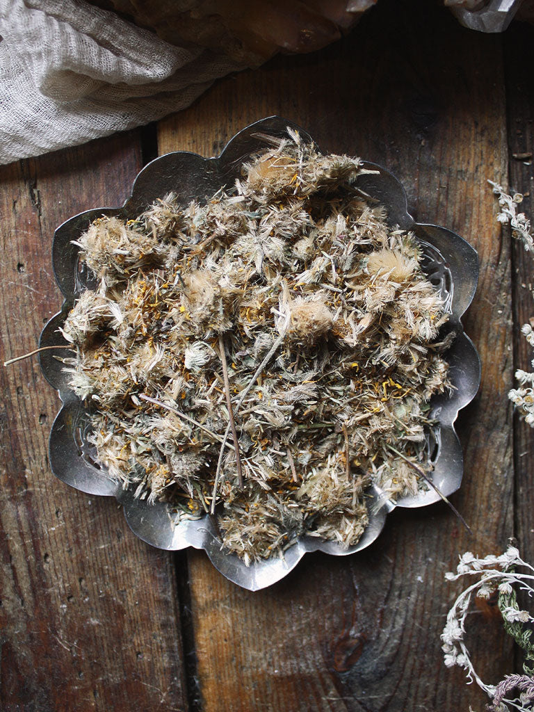 Ritual Herbs - Arnica Flower