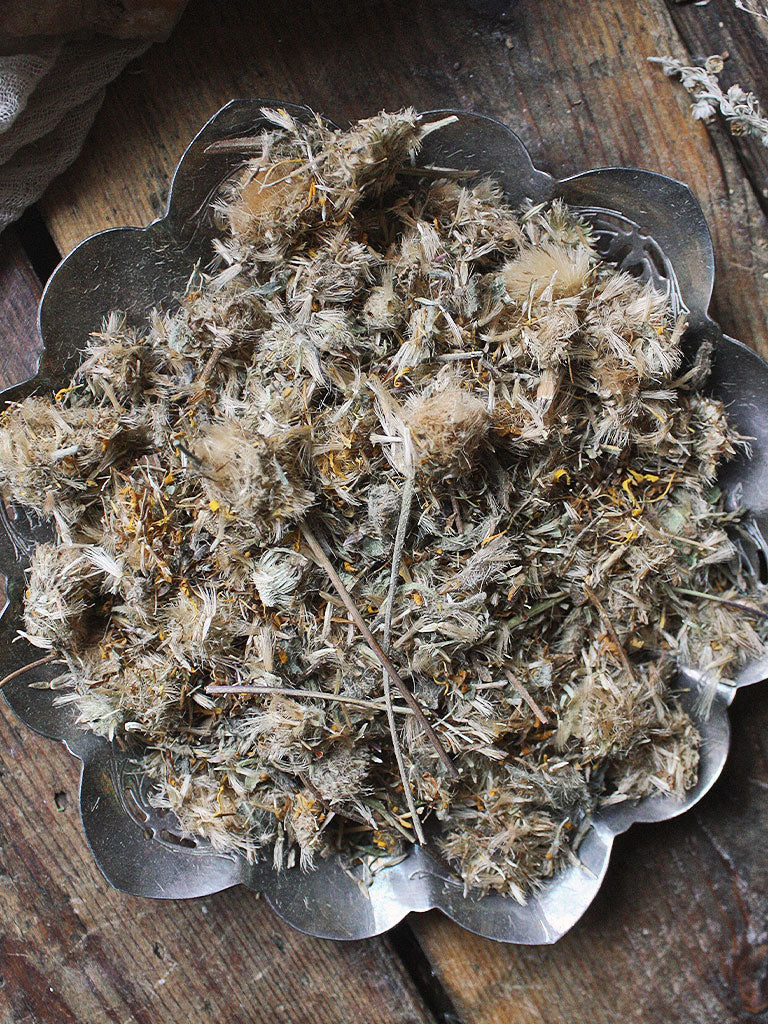 Ritual Herbs - Arnica Flower - Rite of Ritual