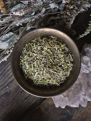 Ritual Herbs - Barberry Root Bark