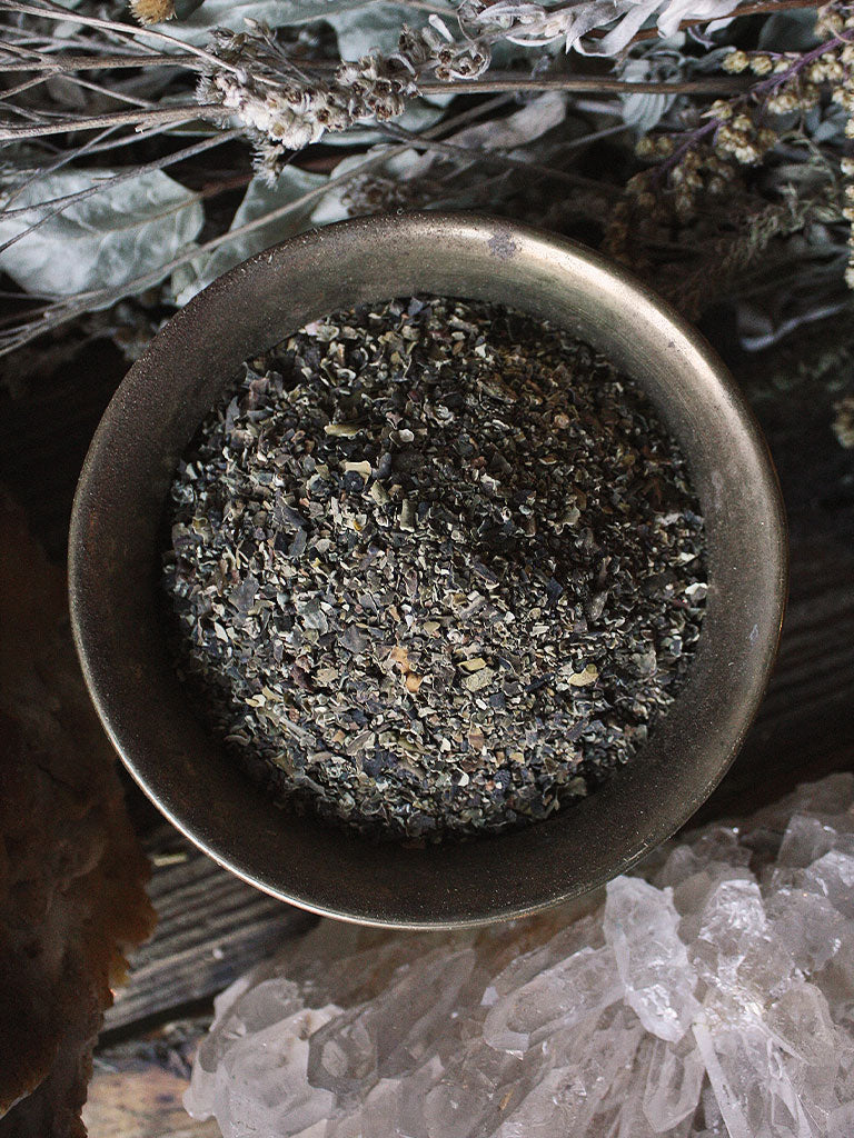 Ritual Herbs - Bladderwrack