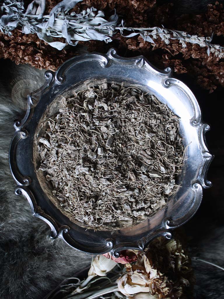 Ritual Herbs - Blue Cohosh Root