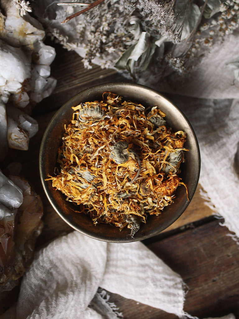 Ritual Herbs - Calendula