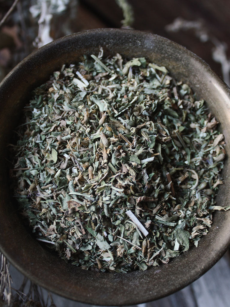 Ritual Herbs - Catnip