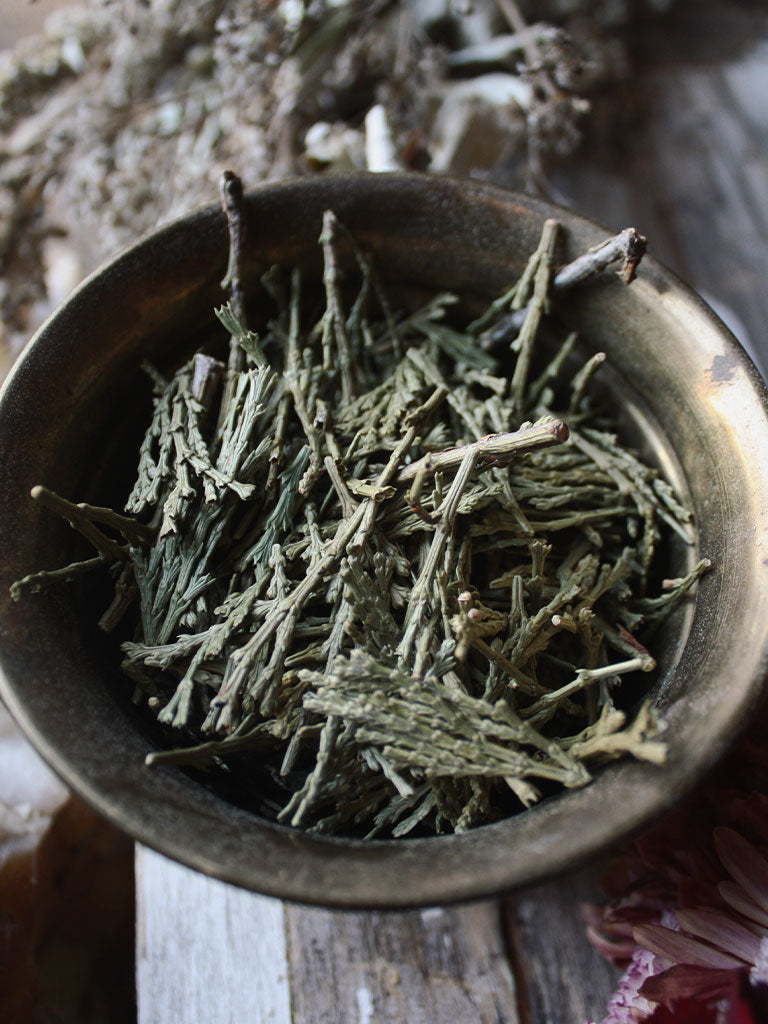 Ritual Herbs - Cedar - Rite of Ritual