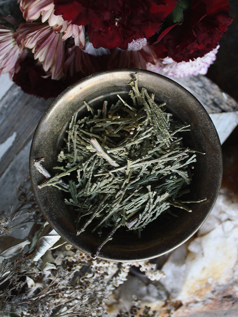 Ritual Herbs - Cedar