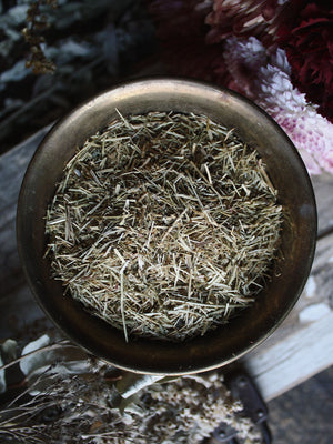 Ritual Herbs - Centaury Herb