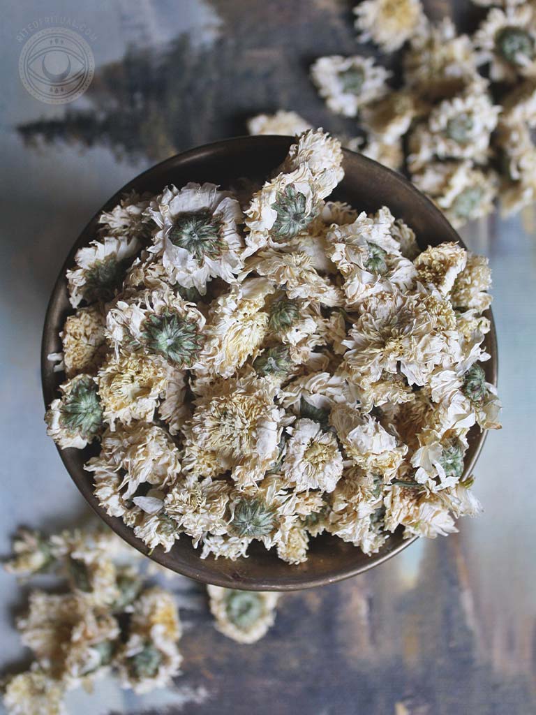 Ritual Herbs - Chrysanthemum