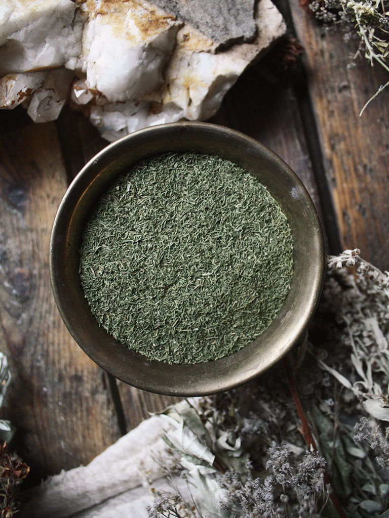 Ritual Herbs - Dill Weed