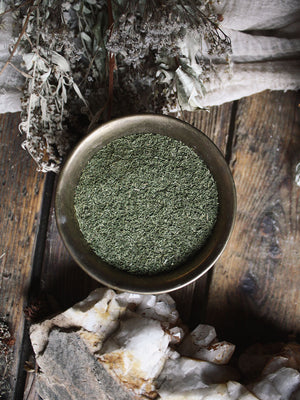 Ritual Herbs - Dill Weed