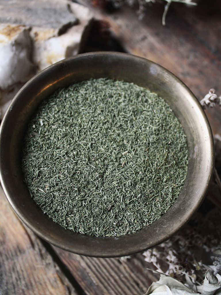 Ritual Herbs - Dill Weed