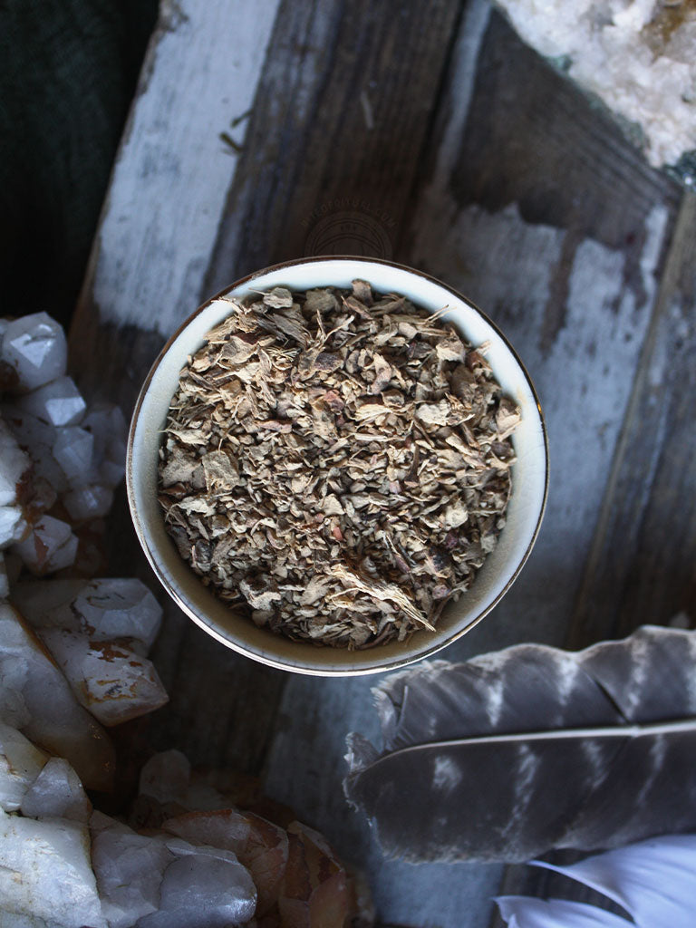 Ritual Herbs - Galangal Root