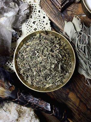 Ritual Herbs - Lobelia