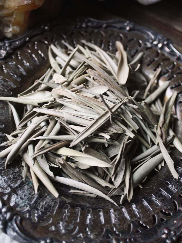 Ritual Herbs - Olive Leaf