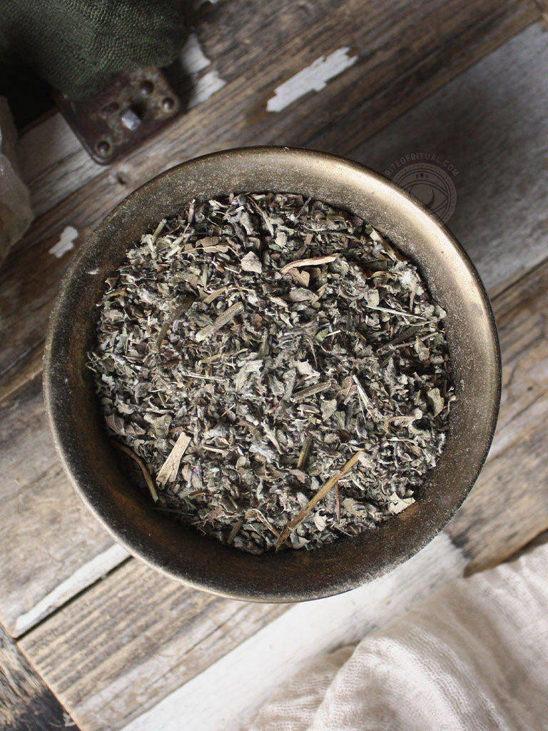 Ritual Herbs - Pennyroyal