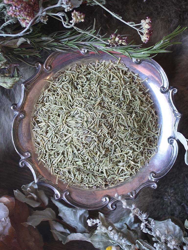 Ritual Herbs - Rosemary