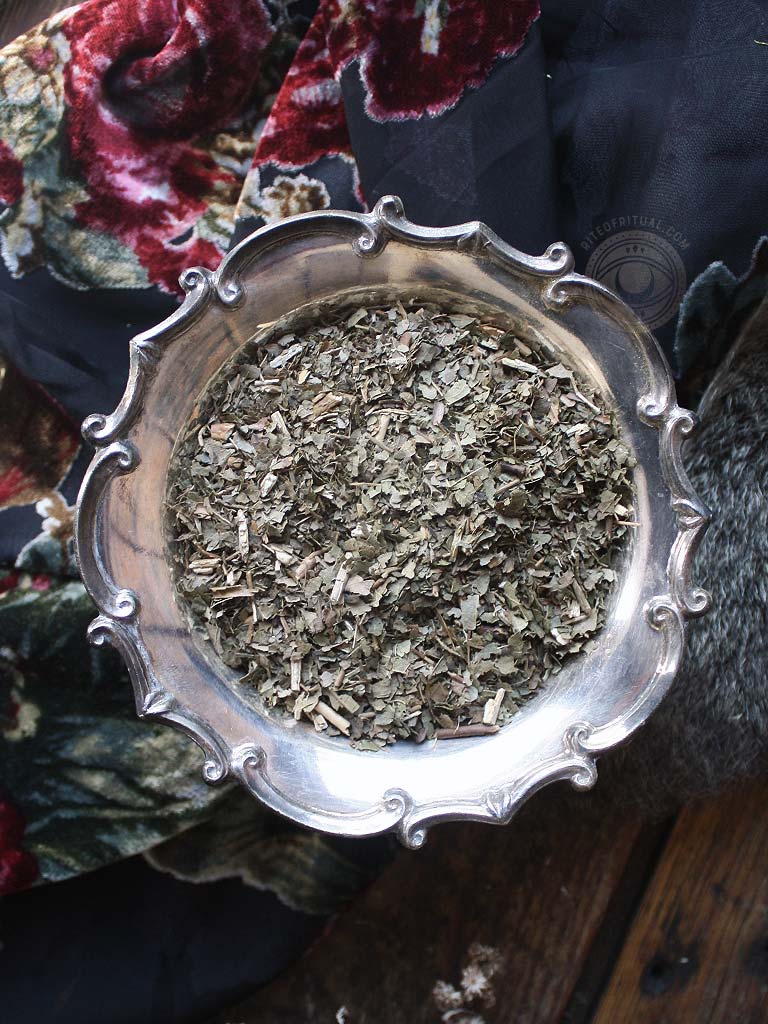 Ritual Herbs - Sassafras Leaf