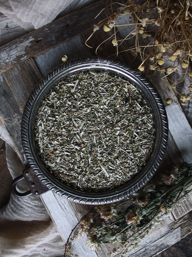 Ritual Herbs - Skullcap