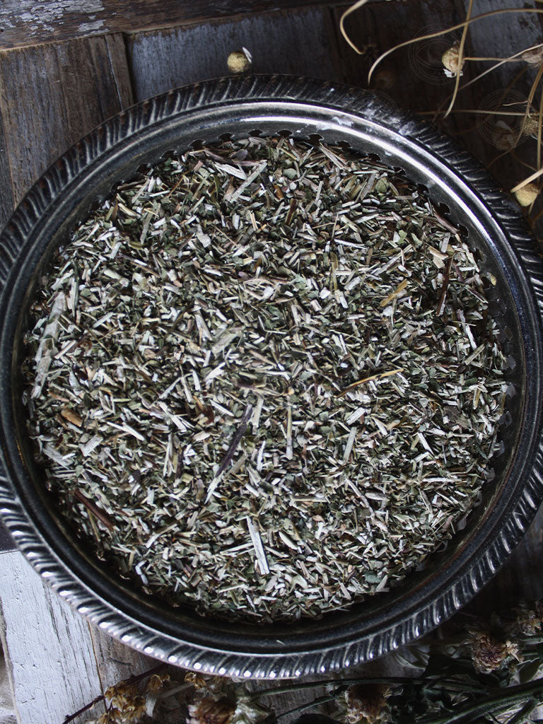 Ritual Herbs - Skullcap