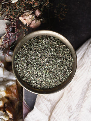 Ritual Herbs - Spearmint Leaf