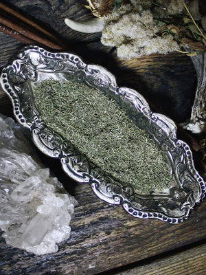 Ritual Herbs - Thyme