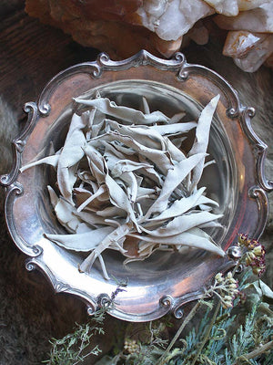 Ritual Herbs - White Sage