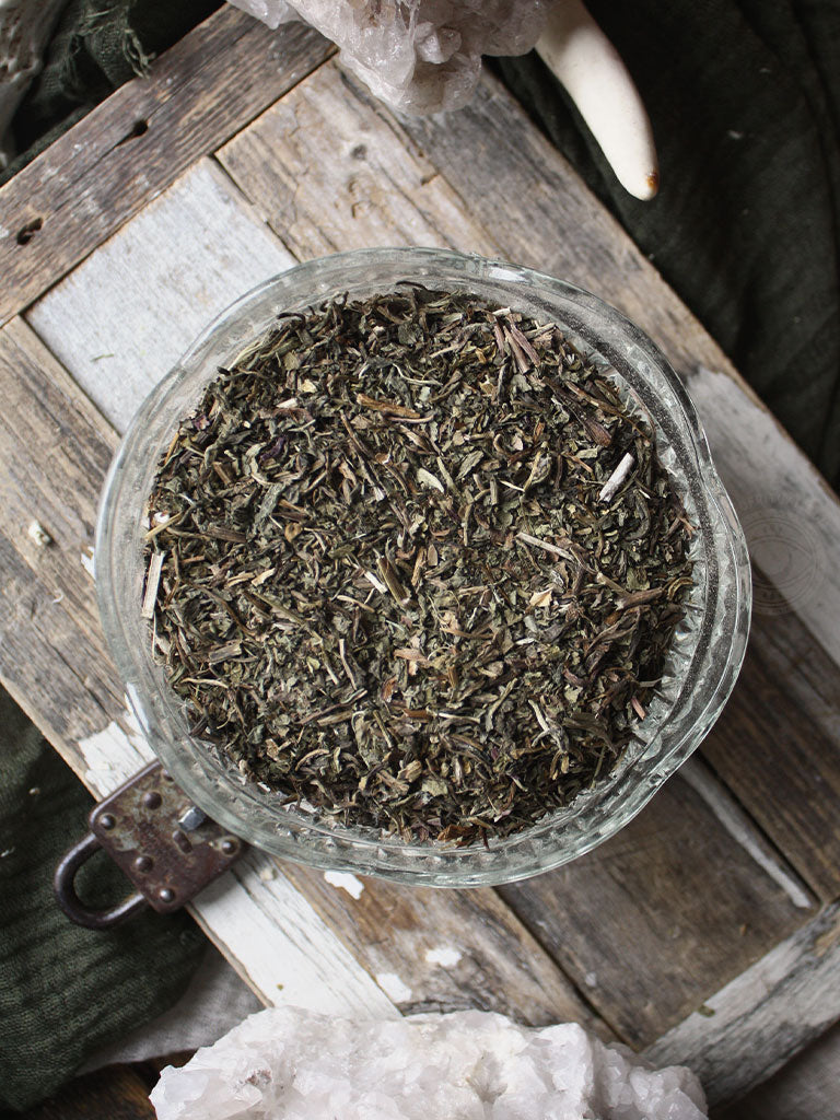 Ritual Herbs - Wild Lettuce Leaf